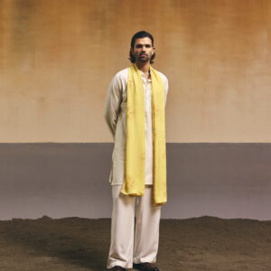 Yellow Dragonfly Printed Stole